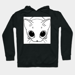 Begging Cat Hoodie